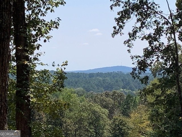 550 Freeman Ferry Road Rome - 63
