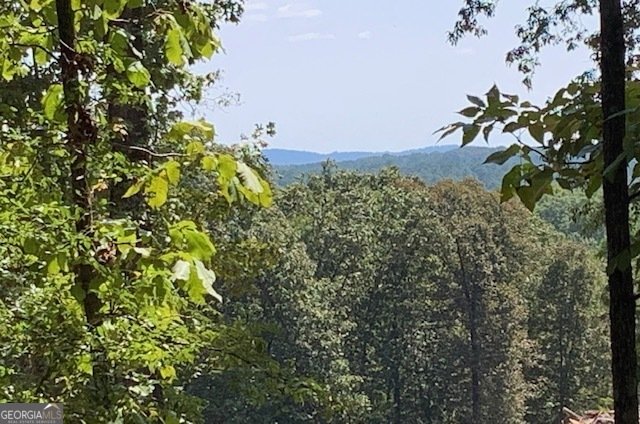 550 Freeman Ferry Road Rome - 64