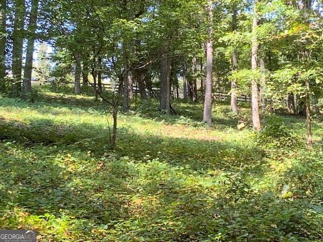 550 Freeman Ferry Road Rome - 66