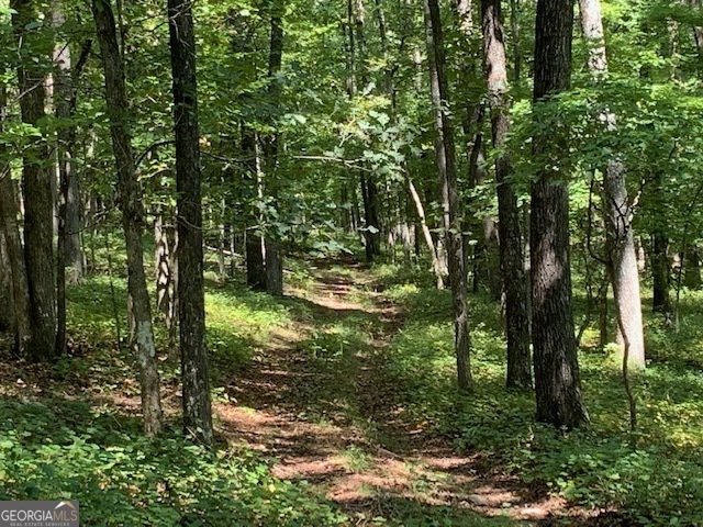 550 Freeman Ferry Road Rome - 67