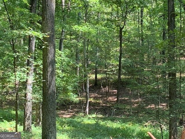 550 Freeman Ferry Road Rome - 68
