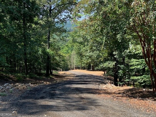 550 Freeman Ferry Road Rome - 71