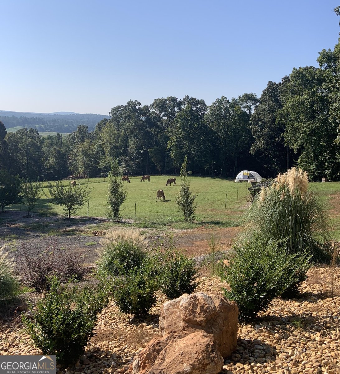 550 Freeman Ferry Road Rome - 74