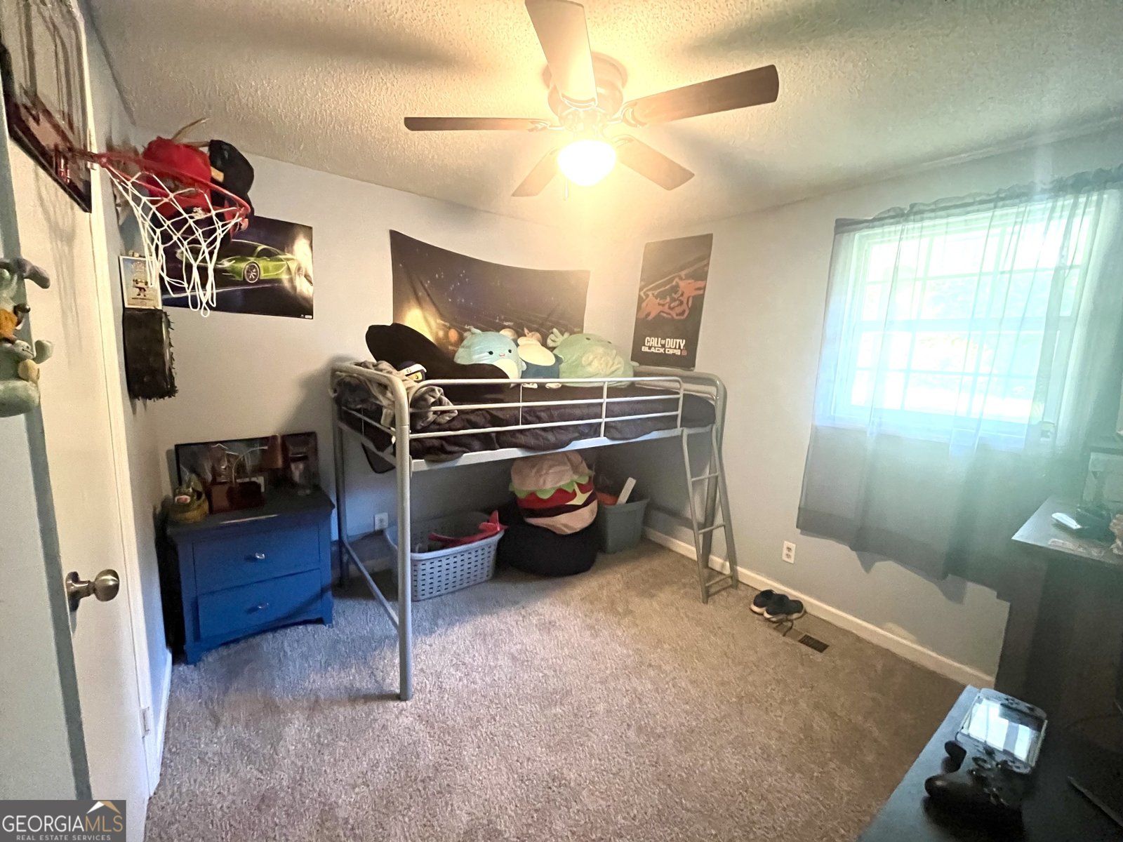 353 Weldon Road Forsyth - 10
