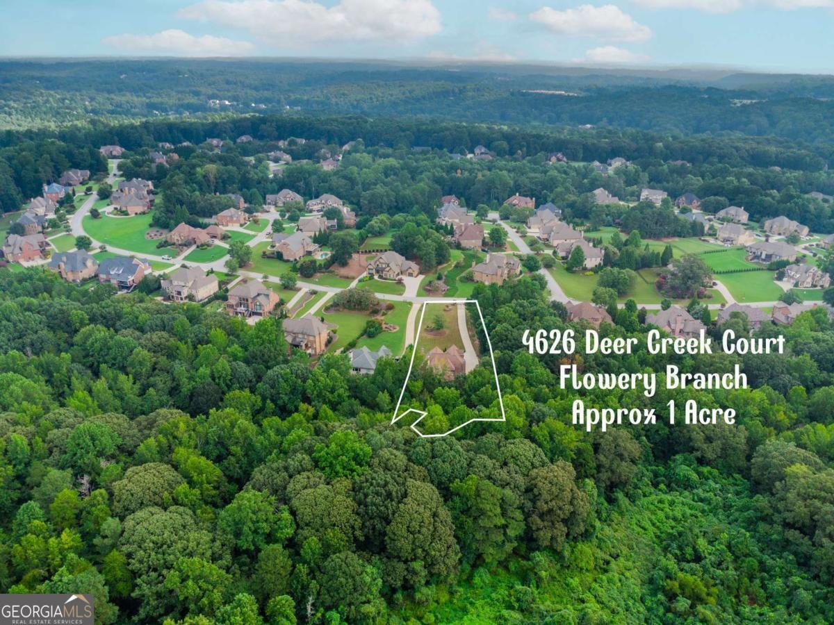 4626 Deer Creek Flowery Branch - 28