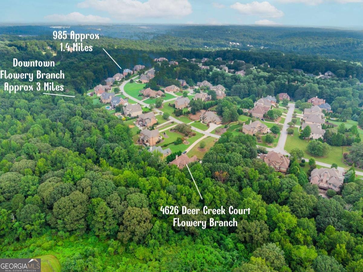 4626 Deer Creek Flowery Branch - 29