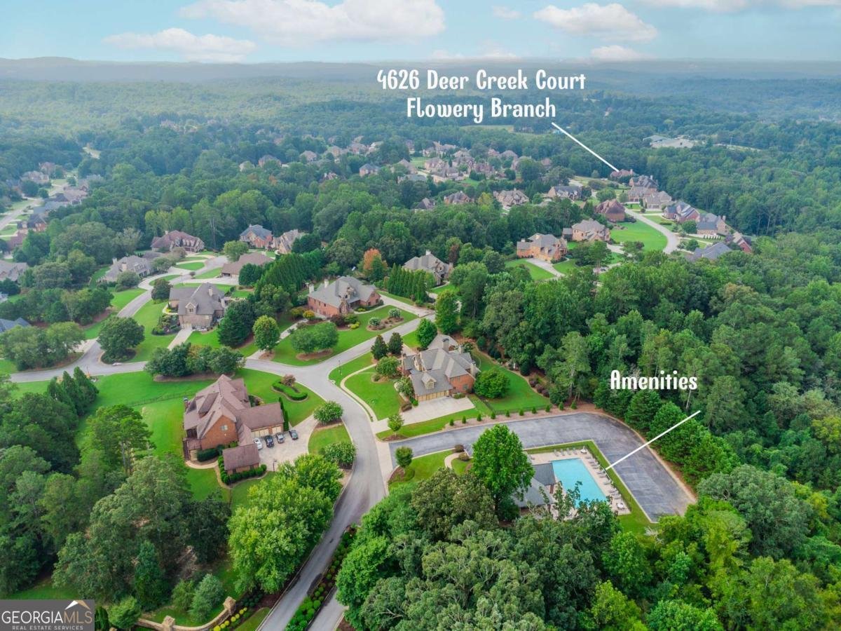 4626 Deer Creek Flowery Branch - 40