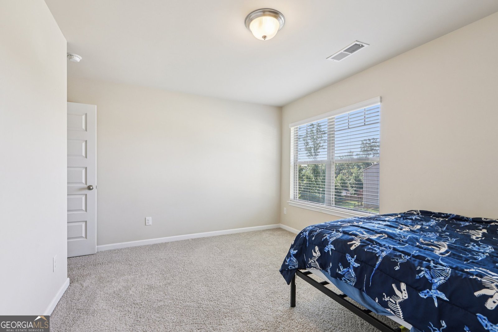 155 Filson Dr Senoia - 18