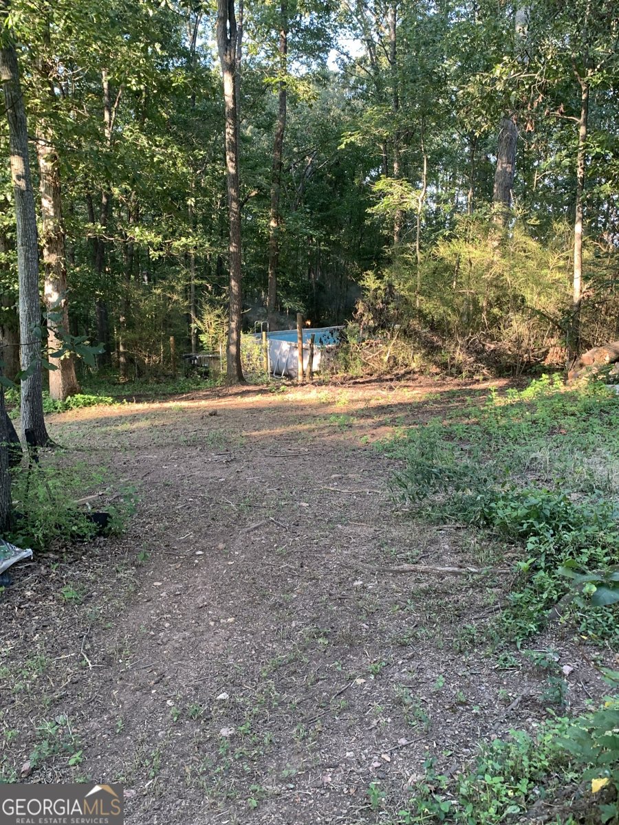122 Runaway Lane Griffin - 28