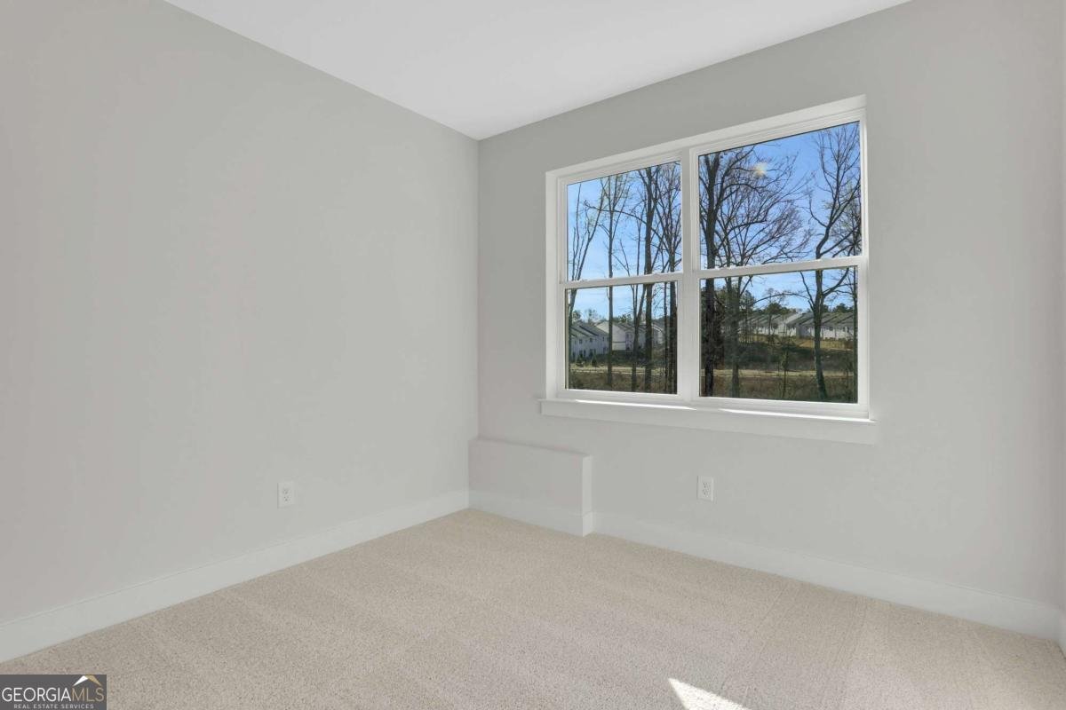 316 Bull Shoals Way Hoschton - 17