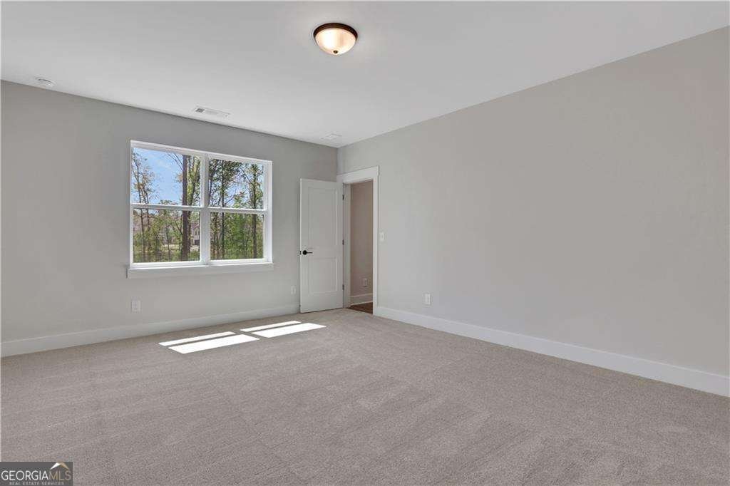 308 Bull Shoals Way Hoschton - 43