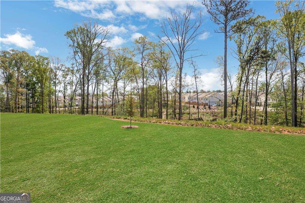 308 Bull Shoals Way Hoschton - 46