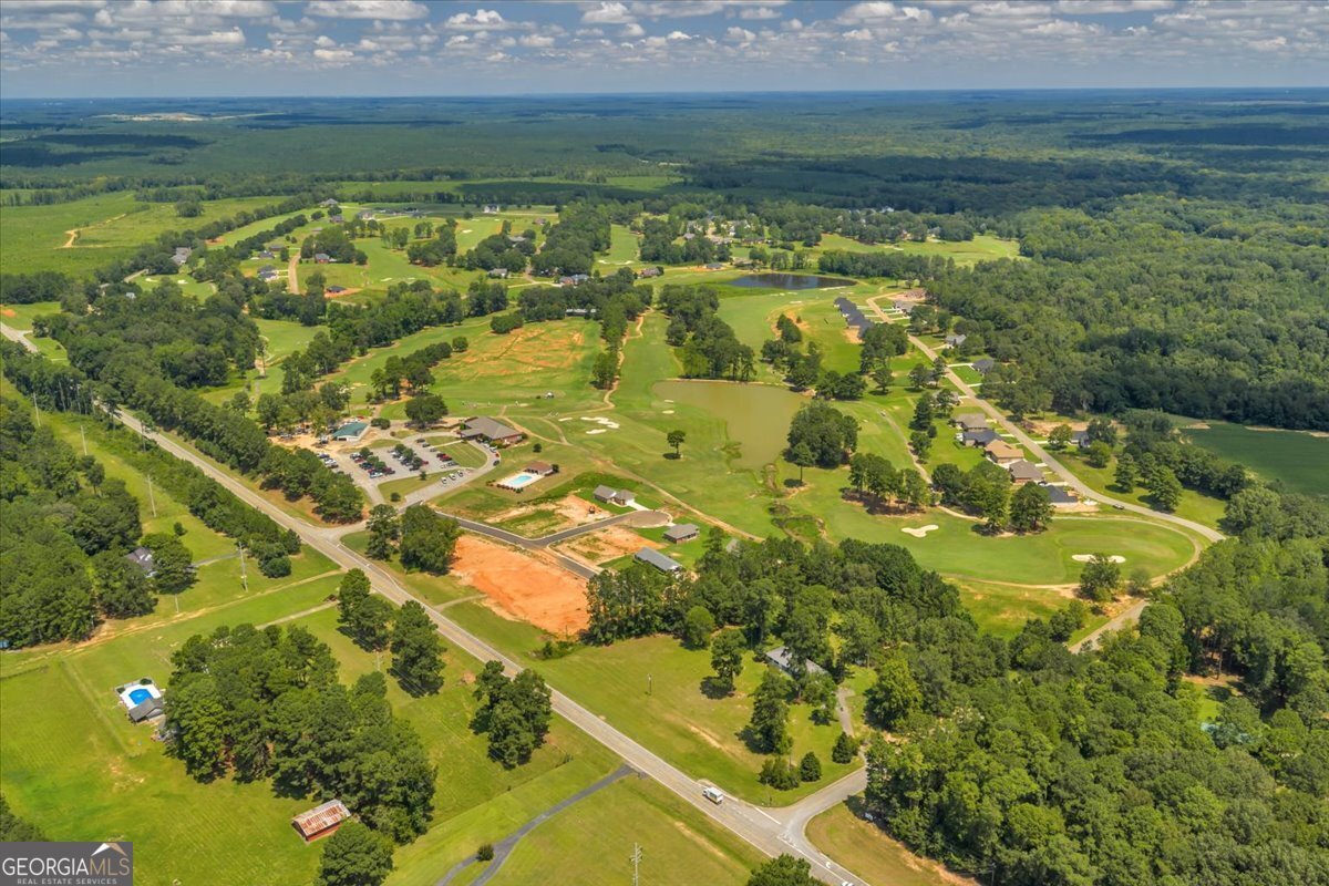 87 River Ridge Hawkinsville - 60