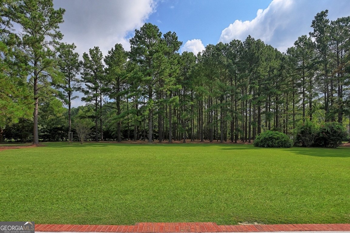 1008 Cobb Road Statesboro - 55