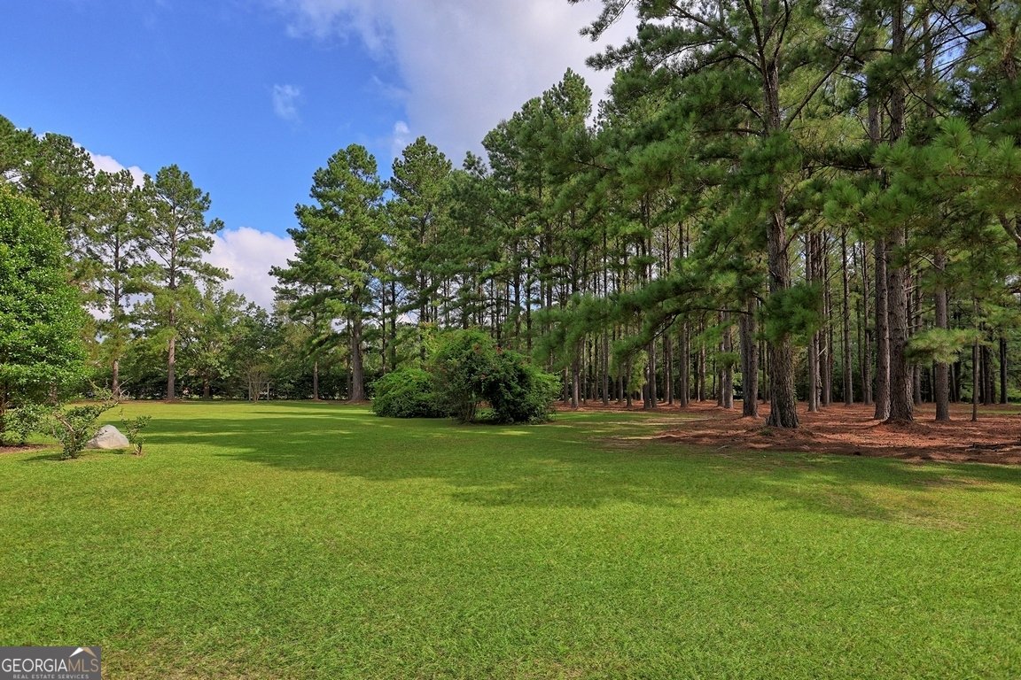 1008 Cobb Road Statesboro - 9