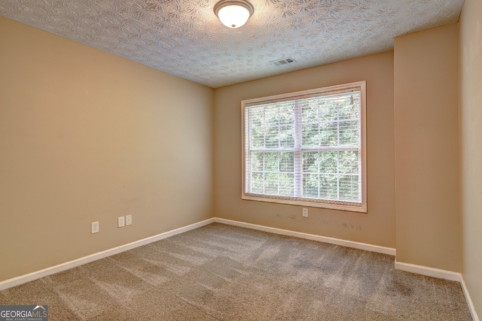 2093 Parador Bend Mcdonough - 48