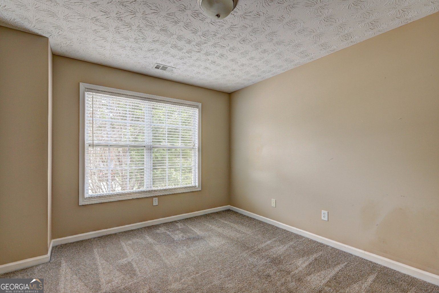2093 Parador Bend Mcdonough - 52