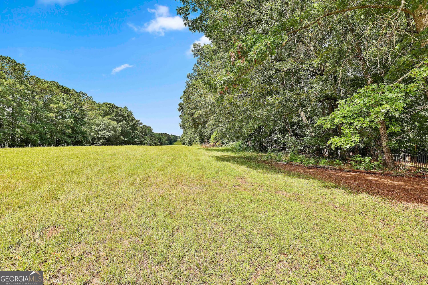 230 Hedgewick Way Tyrone - 43