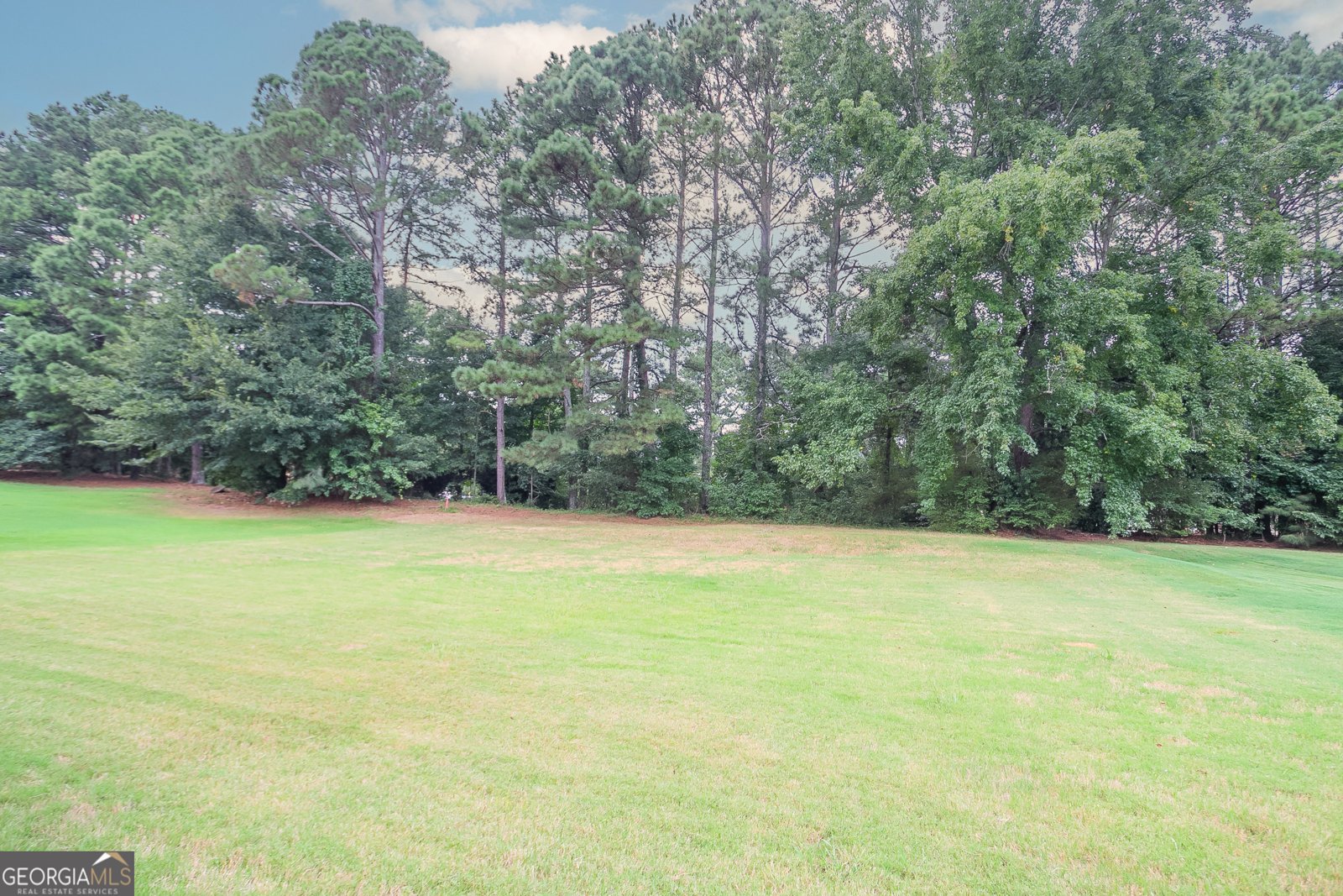 1648 Briarleah Path Conyers - 2