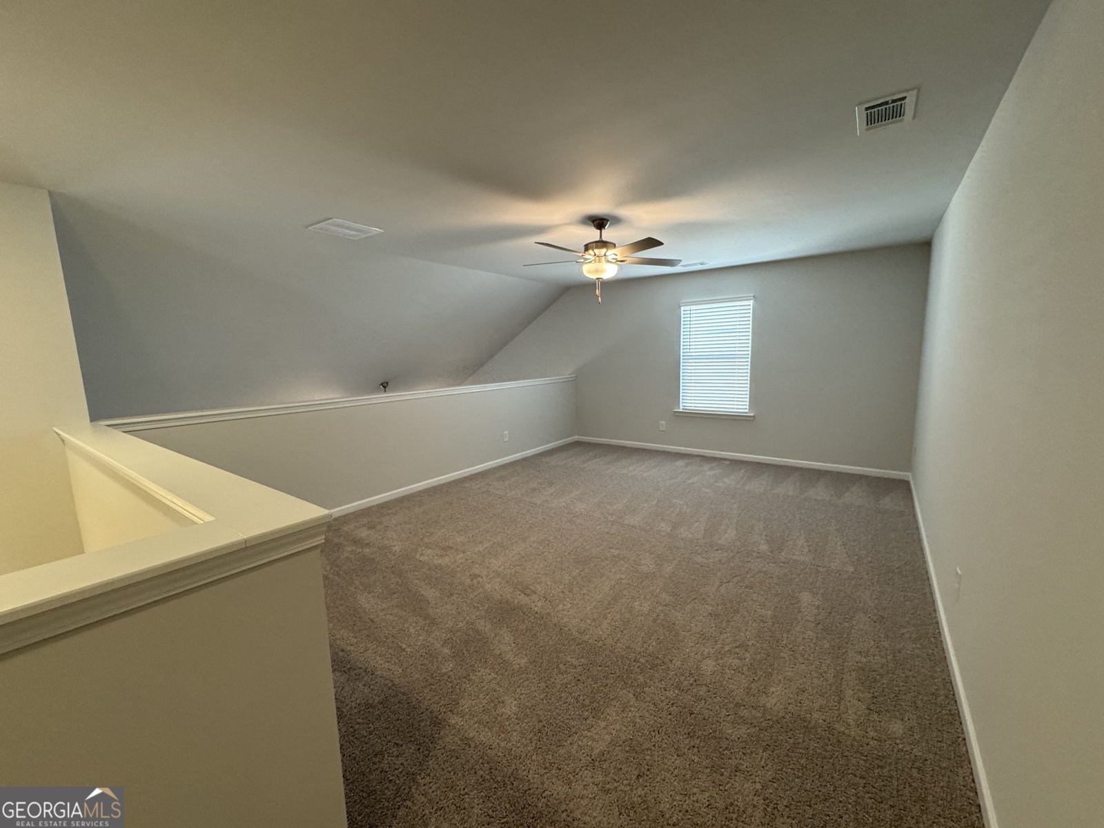 312 Bloomfield Circle Canton - 11