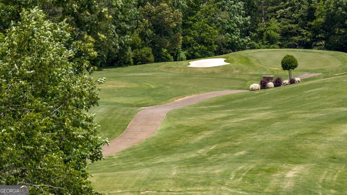 65 Hughes Place Drive Dawsonville - 100