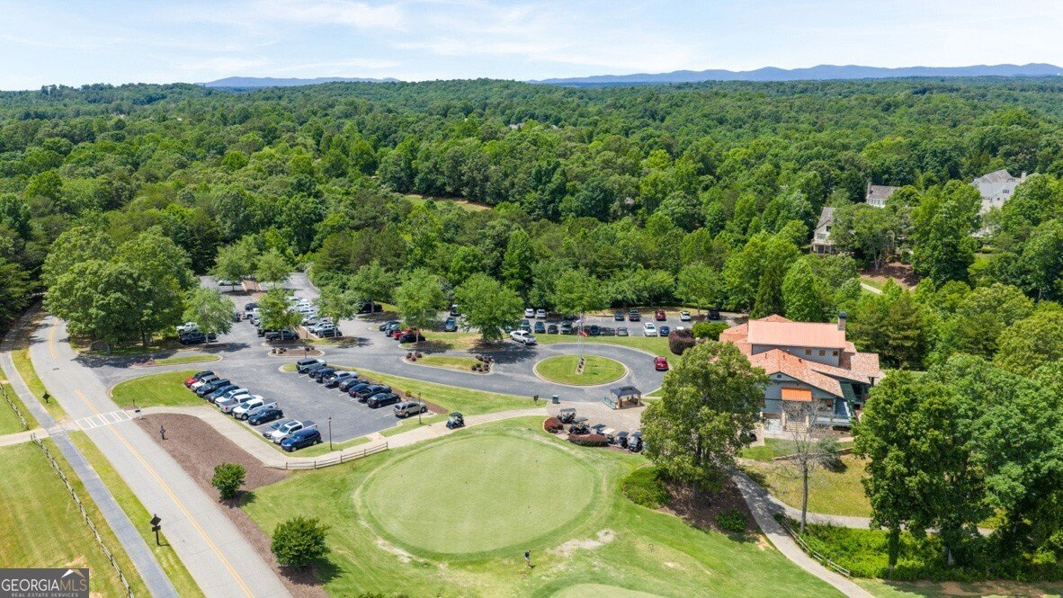 65 Hughes Place Drive Dawsonville - 42