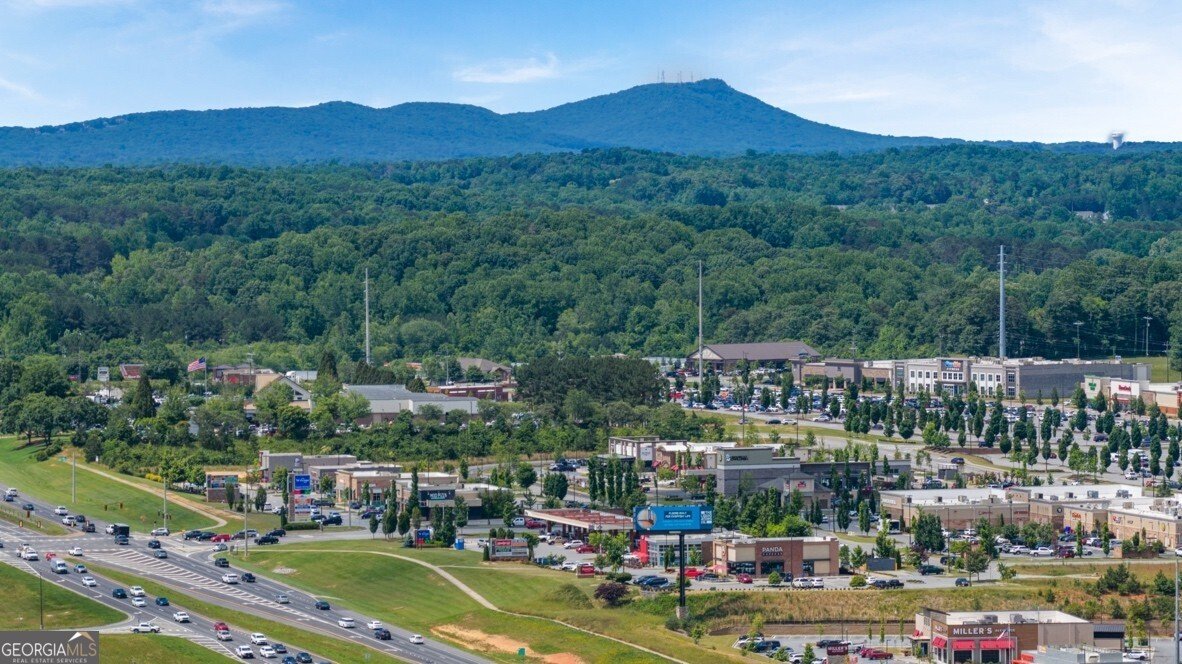 65 Hughes Place Drive Dawsonville - 68