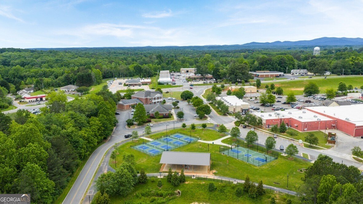 65 Hughes Place Drive Dawsonville - 81