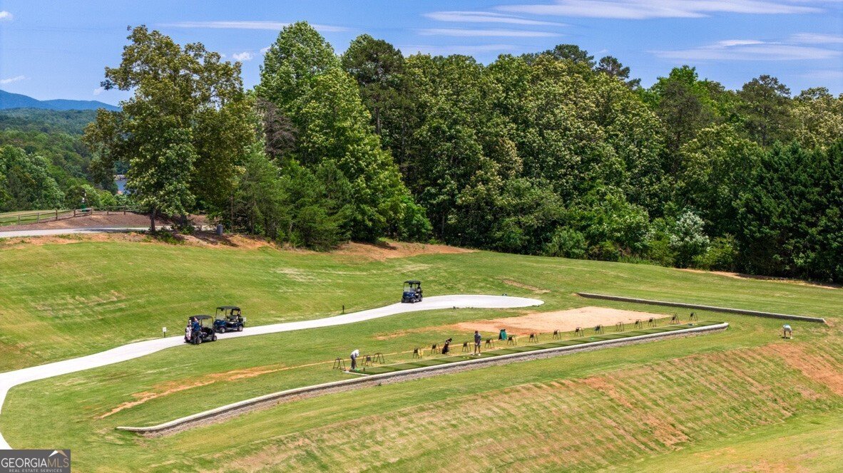 65 Hughes Place Drive Dawsonville - 98