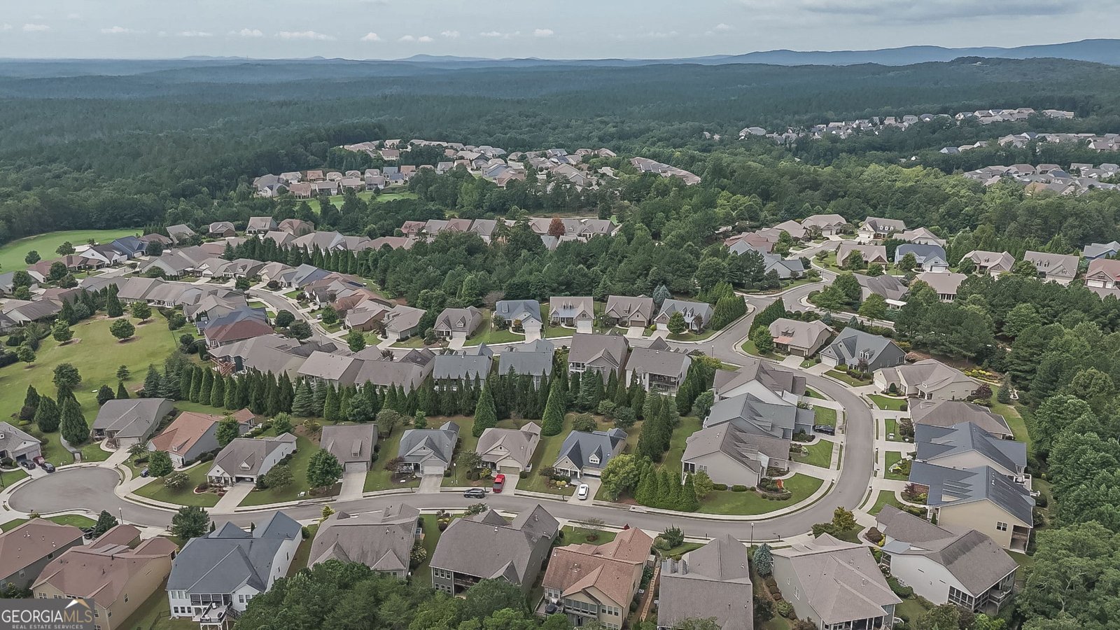 419 Laurel Spring Court Canton - 21