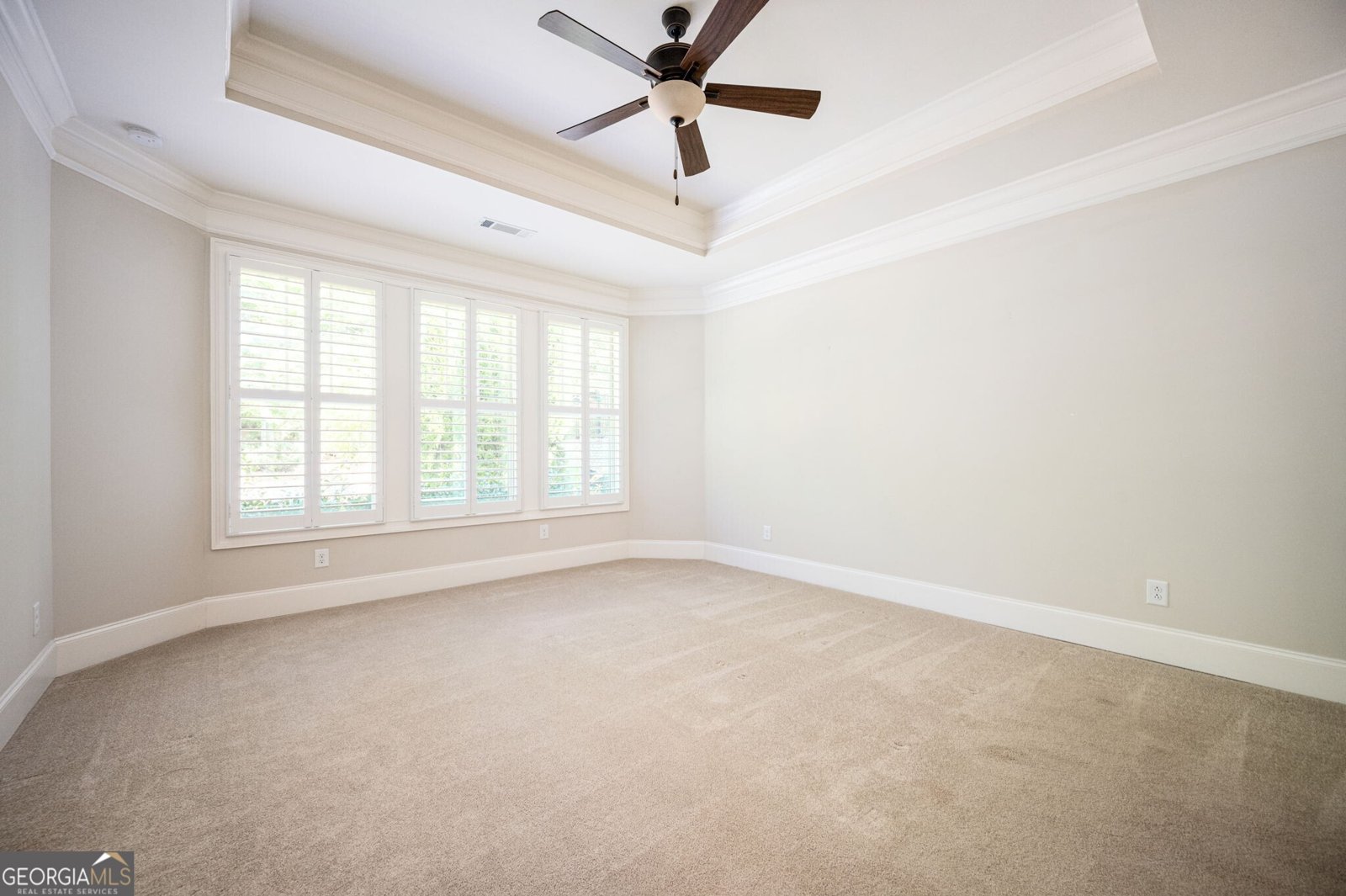 419 Laurel Spring Court Canton - 3