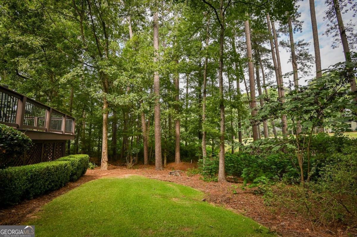1261 Meriweather Drive Watkinsville - 14