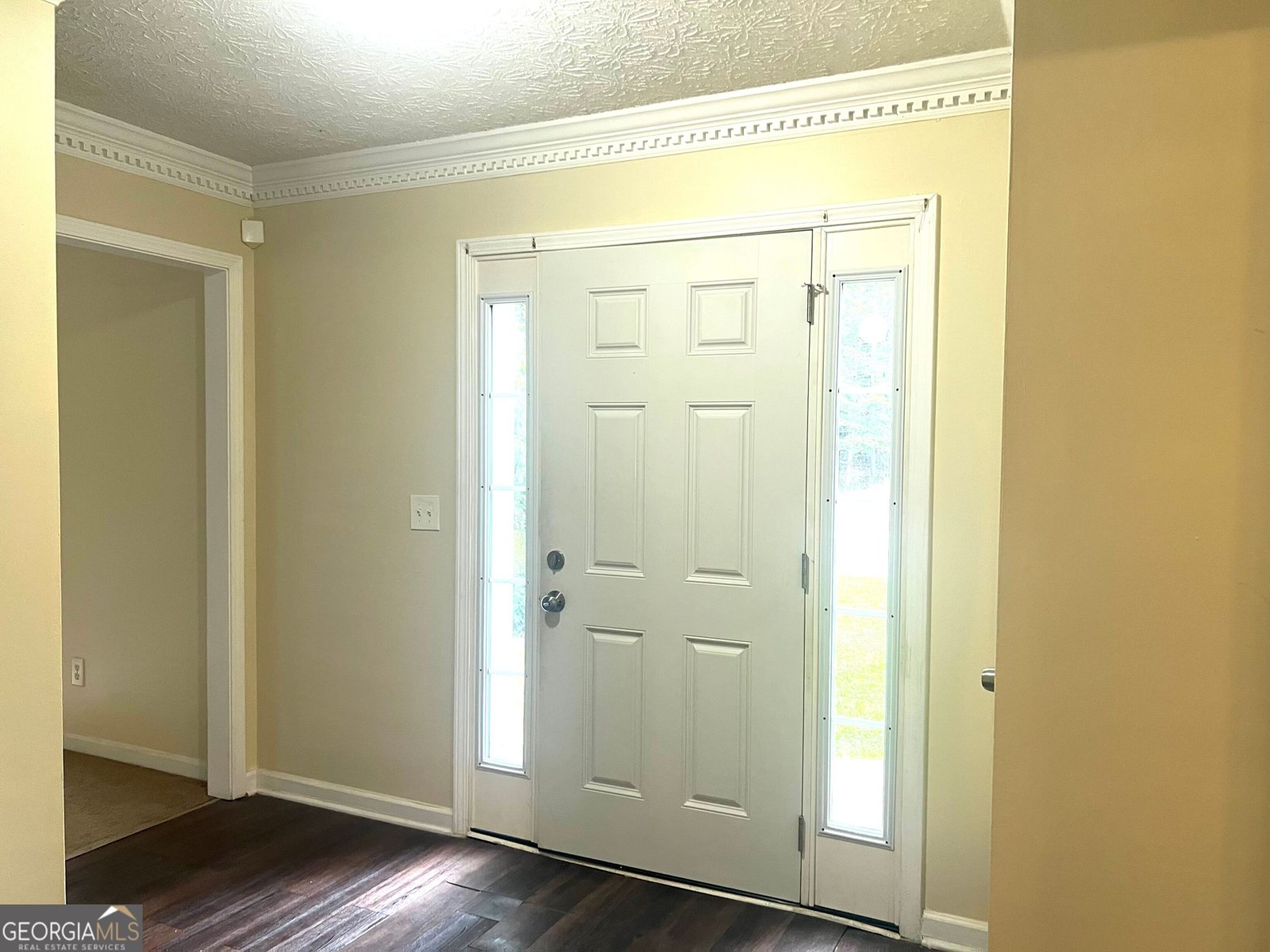 1356 Swift Creek Trace Lithonia - 4