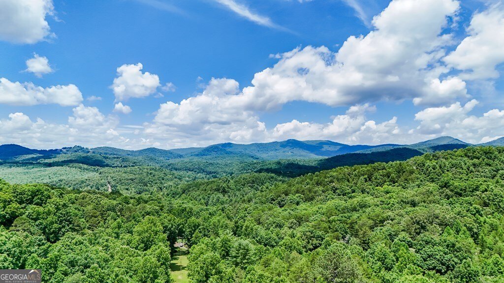 2 Watson Gap Road Mineral Bluff - 6