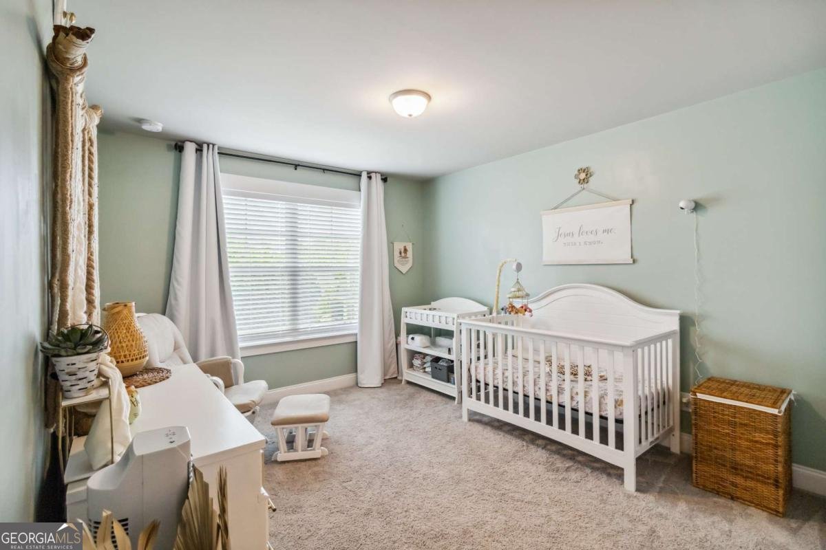 2991 Rice Creek Court Jefferson - 12