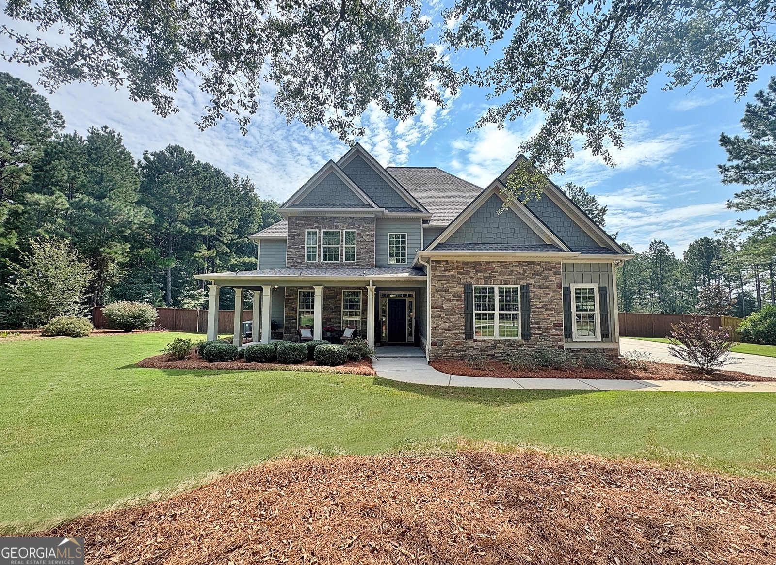 37 Wills Run Drive Senoia - 1