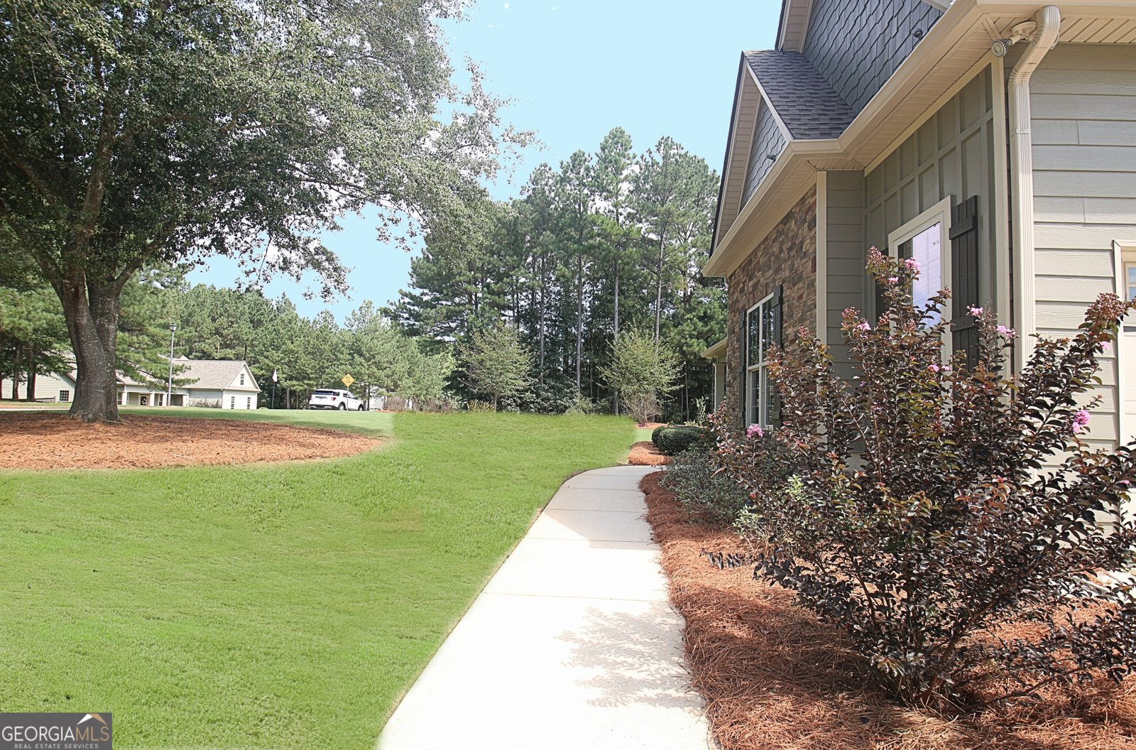 37 Wills Run Drive Senoia - 5