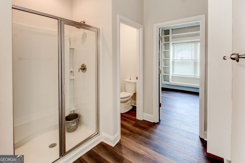 3617 Chestnut Oak Court Loganville - 33