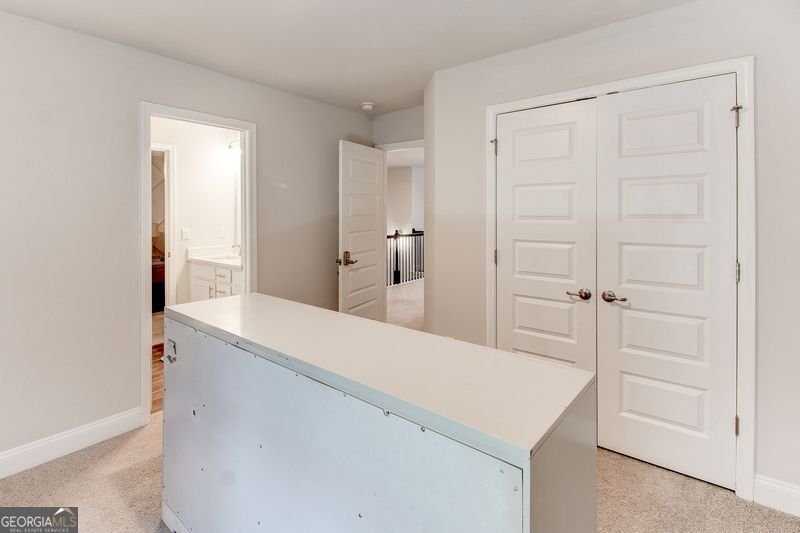 3617 Chestnut Oak Court Loganville - 46