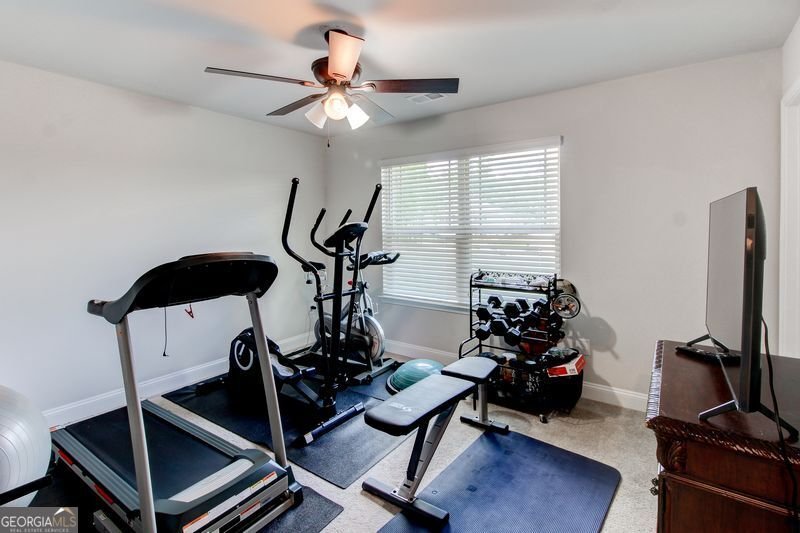 3617 Chestnut Oak Court Loganville - 47