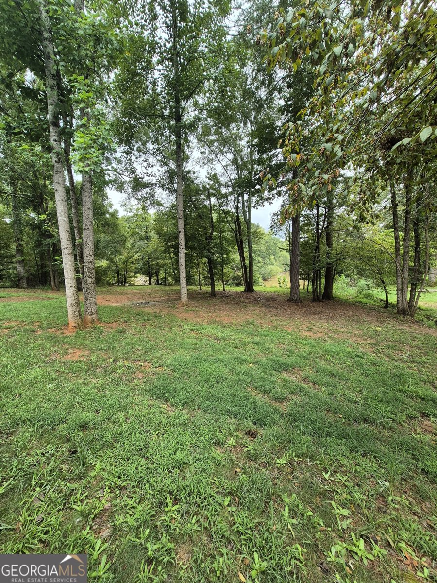 595 Vaughn Road Athens - 24