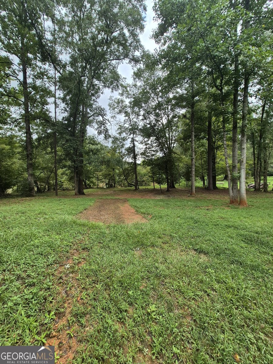 595 Vaughn Road Athens - 25