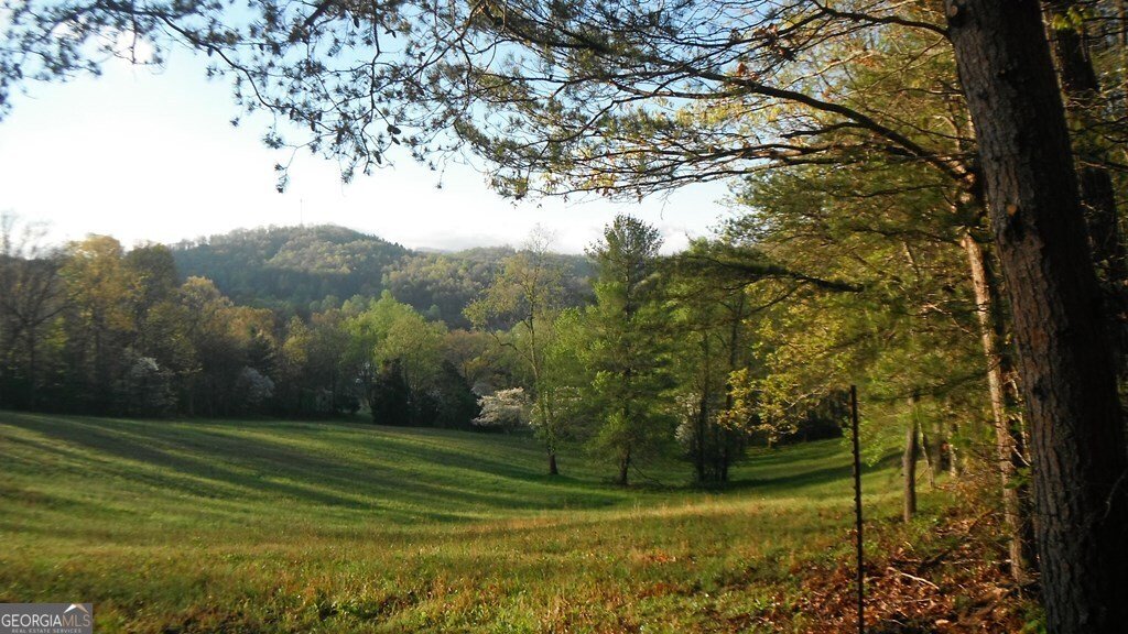 557 Grayce Lane Hiawassee - 27
