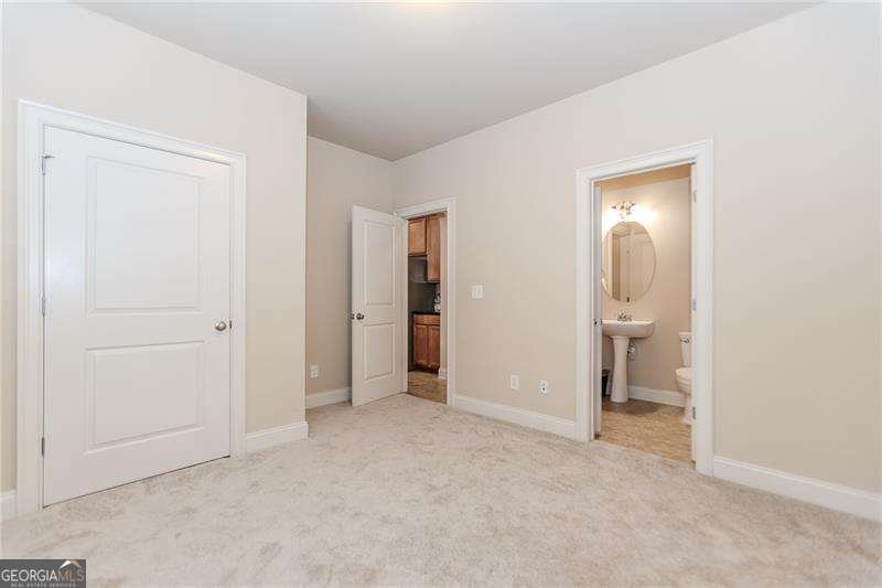 3146 Montauk Hill Drive Buford - 21