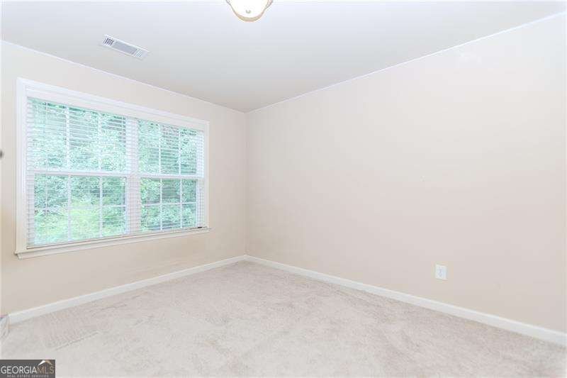 3146 Montauk Hill Drive Buford - 28
