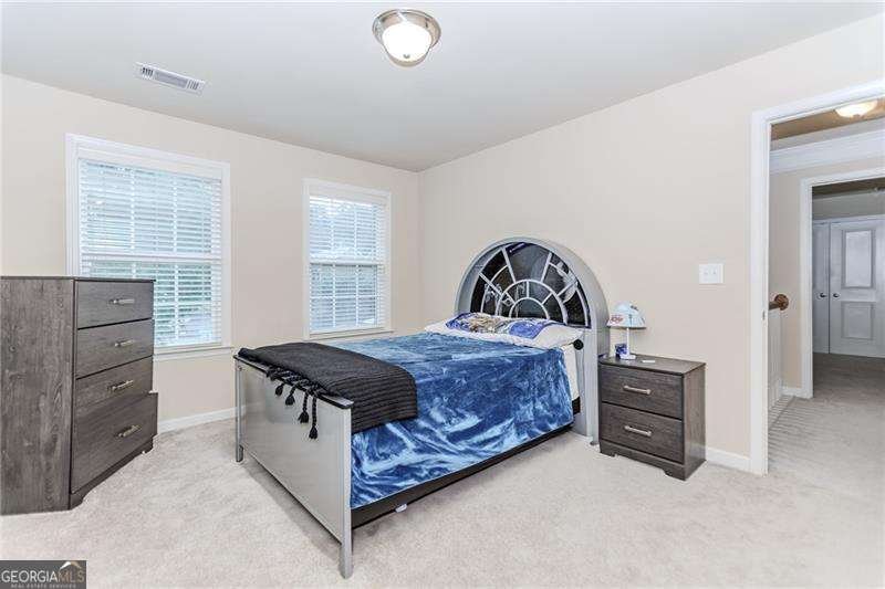 3146 Montauk Hill Drive Buford - 29