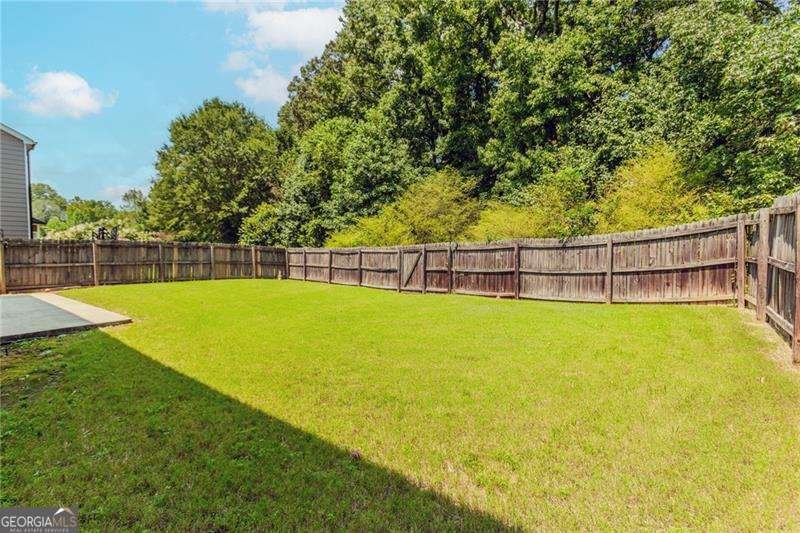 3146 Montauk Hill Drive Buford - 35