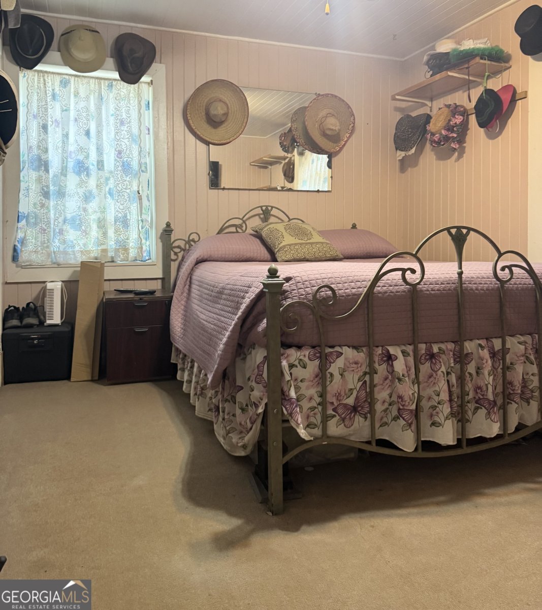 75 Rudolph Road Collins - 6