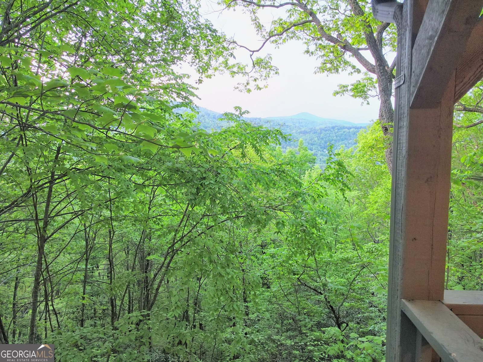 445 Orchid Trail Clayton - 20