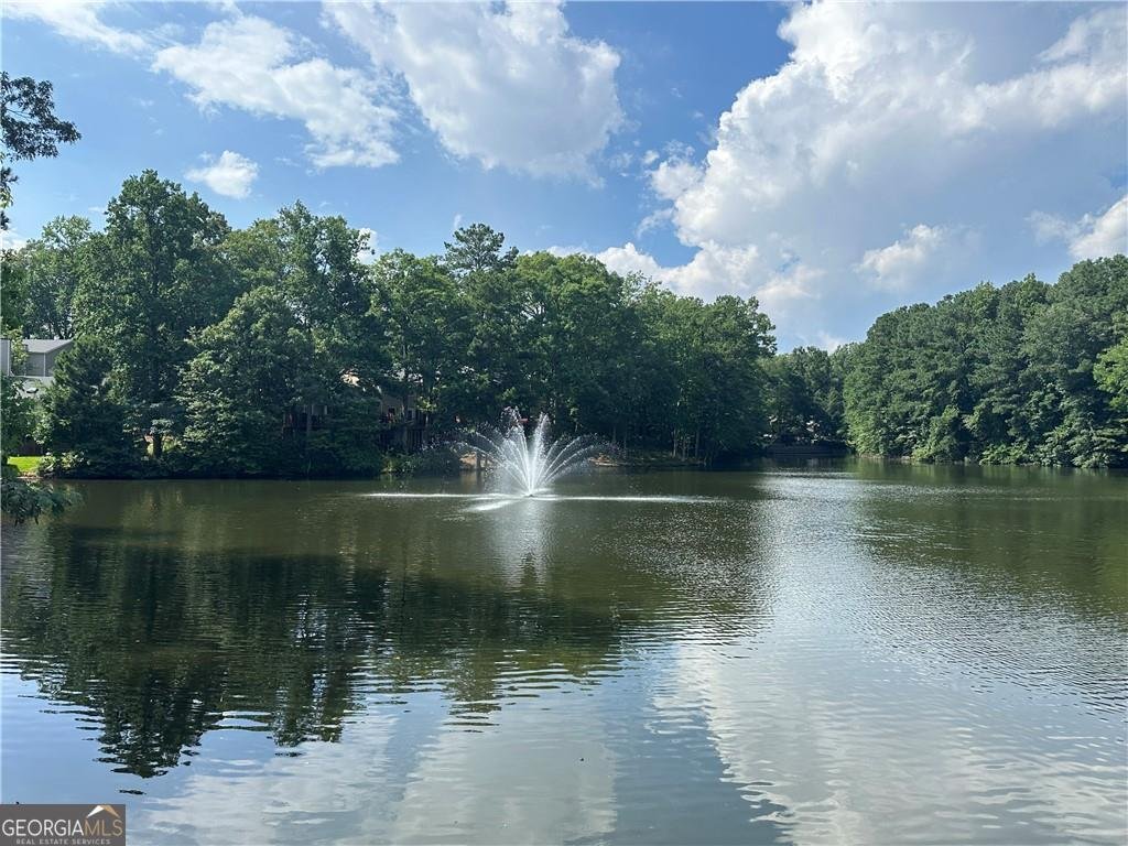 41 Basswood Circle Sandy Springs - 1